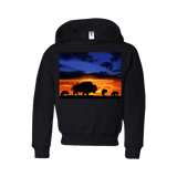 Youth Hoodie