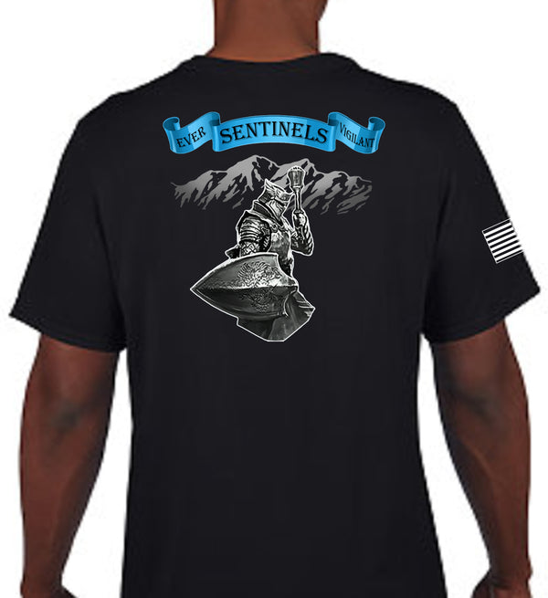 Unisex Performance (Color Design) Short Sleeve PT Shirt (Feels like Cotton). This shirt IS approved for PT.