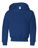 Youth Hoodie